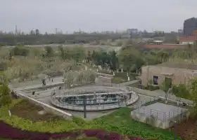 Deyangjingnan Wetland Park