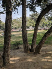 라니 아반티 바이 공원