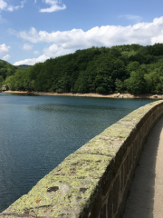 Presa De Santa Fe del Montseny