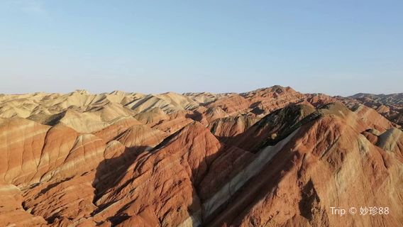 Monkey Watching the Sea