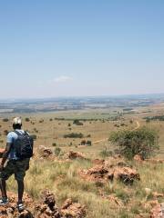 Sites des hominidés fossiles d'Afrique du Sud