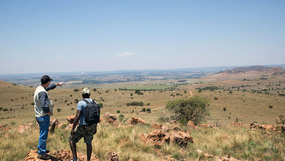 Sterkfontein DMA