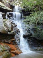 Boronia Park Reserve