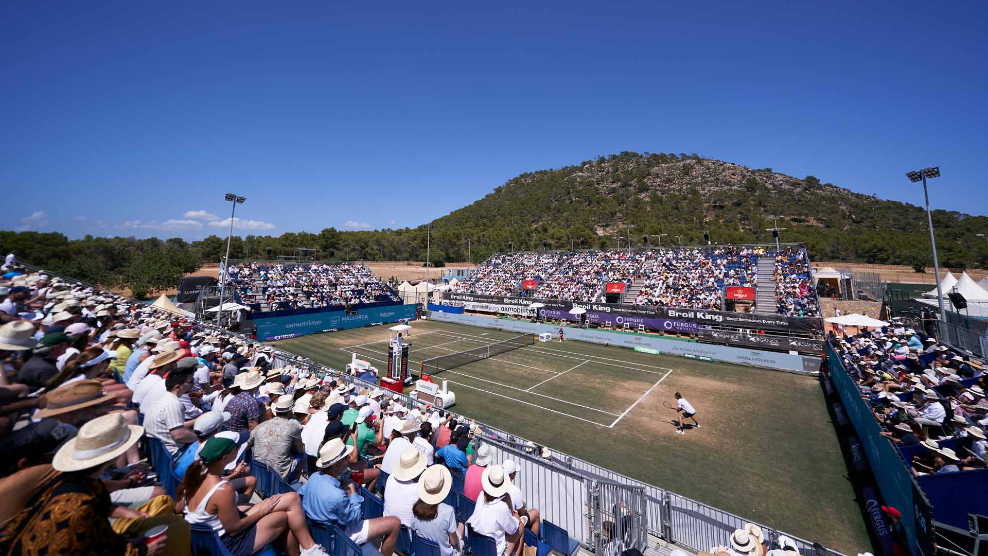 Mallorca Open 2026 | Calvia