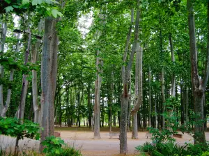 Parc de la Devesa