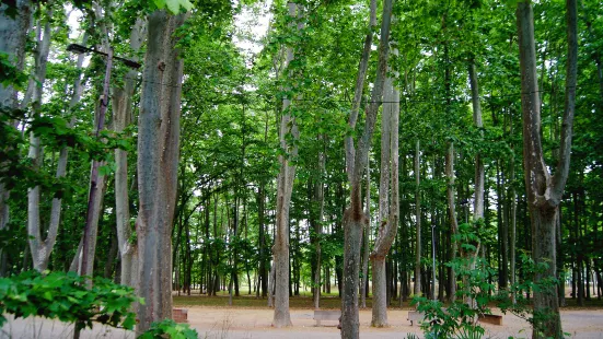 Parc de la Devesa