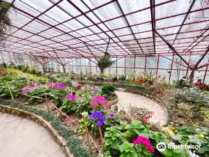 Flower Exhibition Centre - Ridge Park.