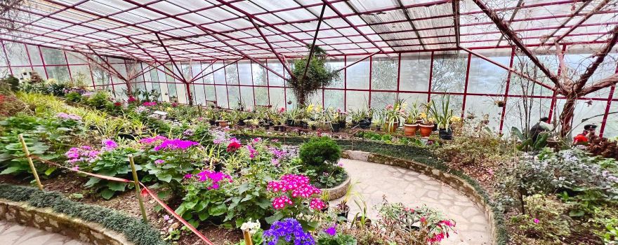 Flower Exhibition Centre - Ridge Park.