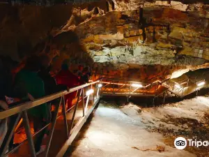 Demanovska Ice Cave