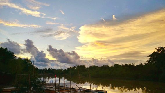 Kampung Kuantan Fireflies Park (Selangor)