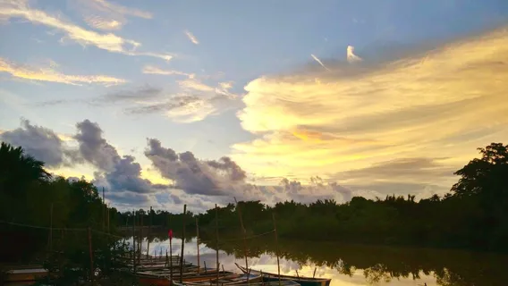 Kampung Kuantan Fireflies Park (Selangor)