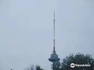 Vilnius TV Tower