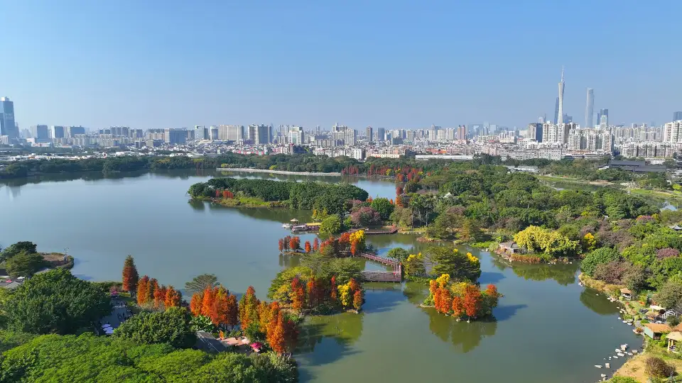 1_Haizhu Wetland