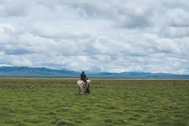甘南騎馬