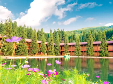 สวนสาธารณะแห่งชาติภูเขา Wulingshan