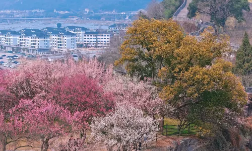 Taizhou City Wall