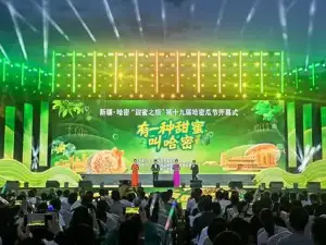 xin jiang ha mi gua jie