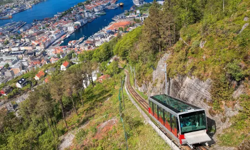 Fløyen