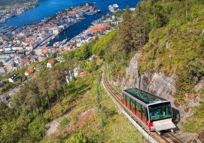 Fløibanen