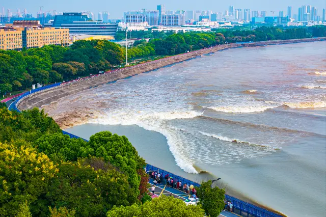 Jiaxing Tide Viewing