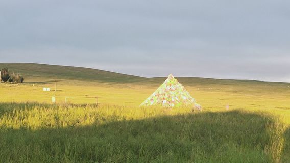 xi la mu ren cao yuan shen chu