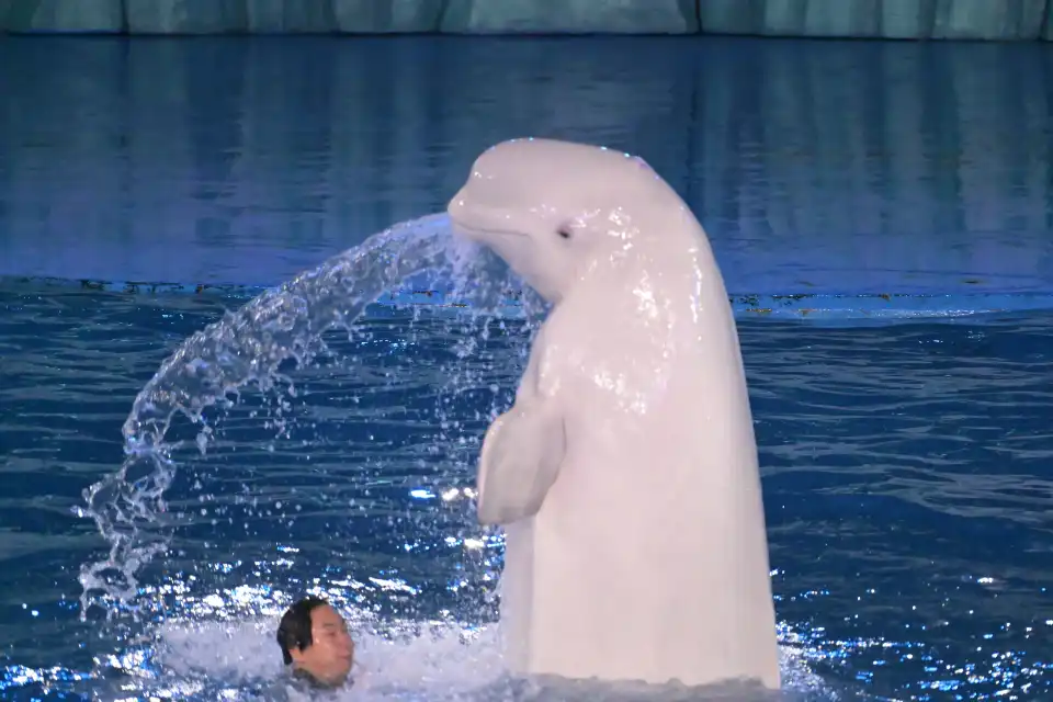 4_Polar Oceanarium