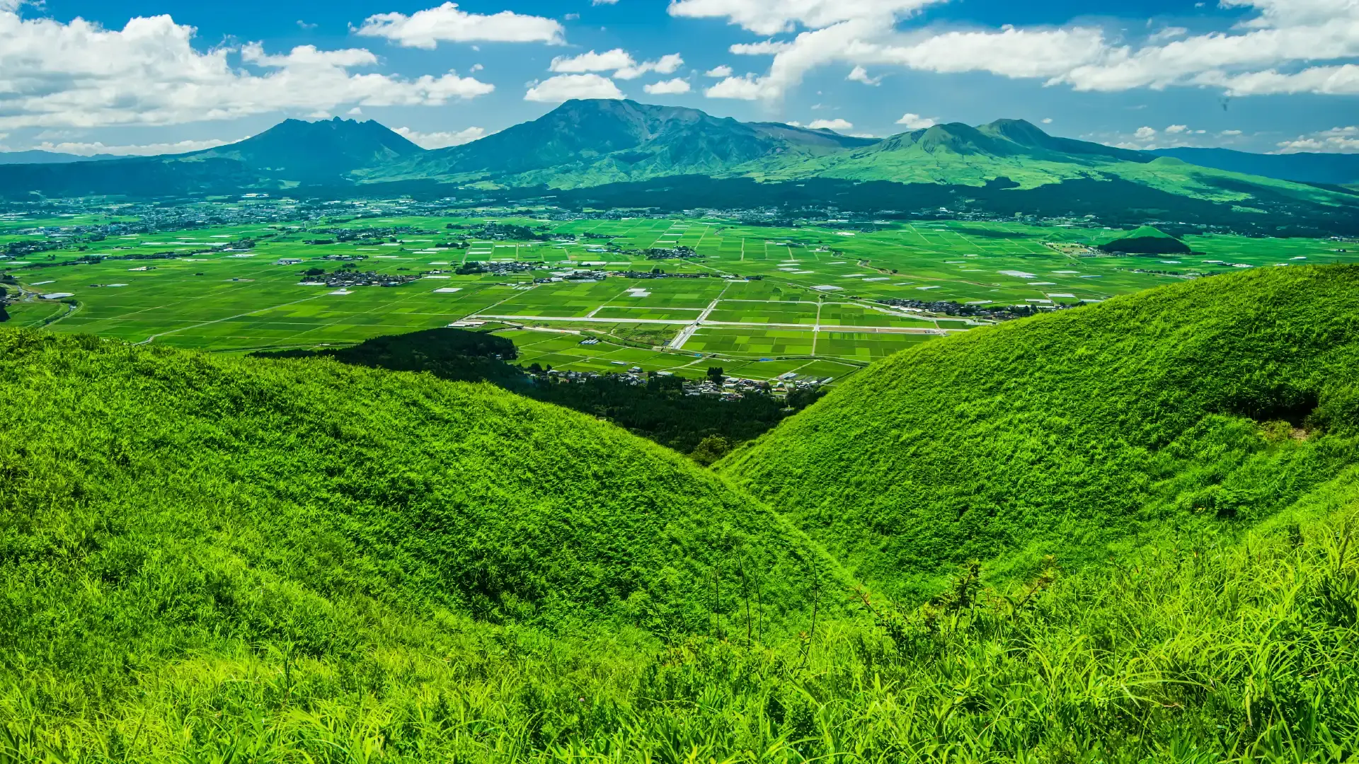 Hotels near Daikanbo