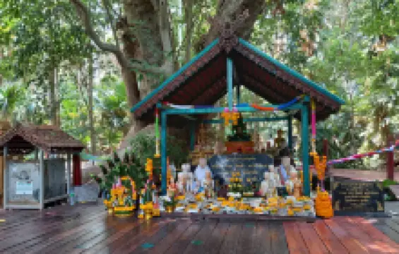 คำชะโนด วังนาคินทร์