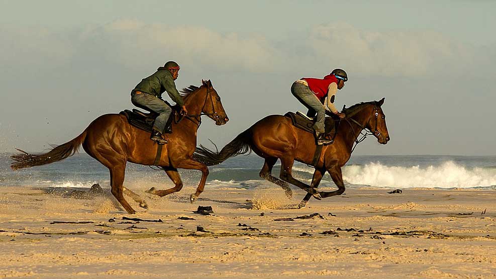เทศกาล ตาบอท | Beringin Raya