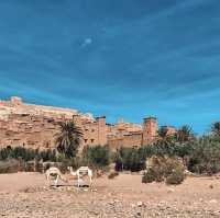 簡直就是童話故事！摩洛哥内陸必游城堡！
