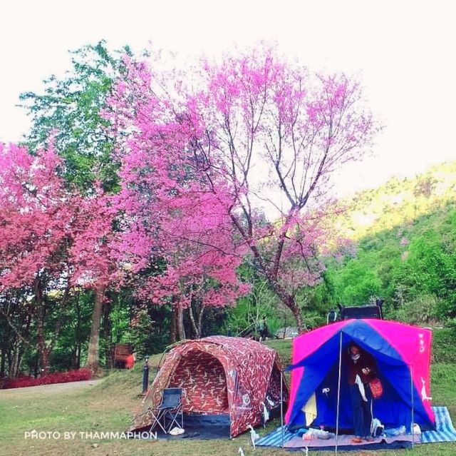 ลานดูดาว​ ท่ามกลางขุนเขา