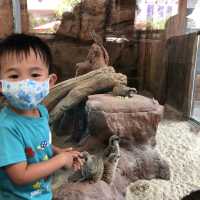 #親子游#香港海洋公園親子游