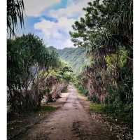 Papuma Beach