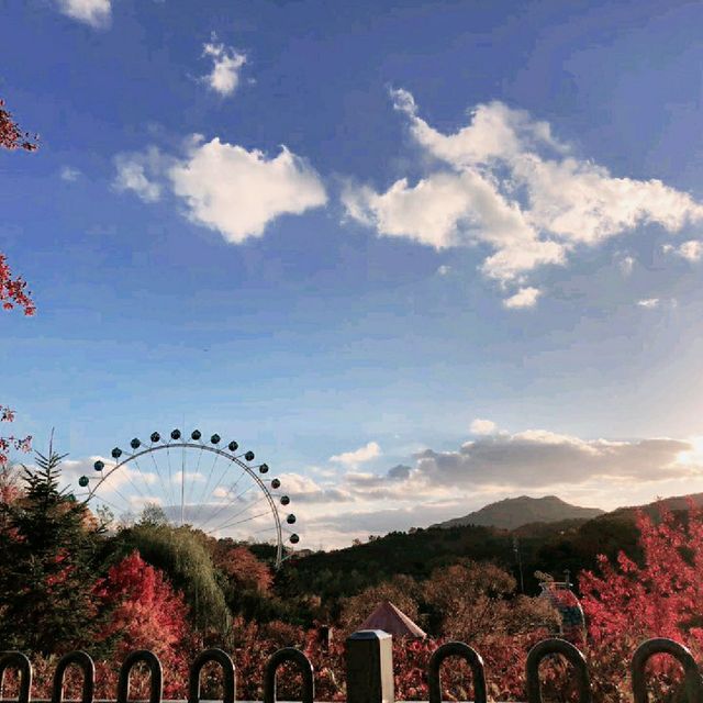 할로윈의 밤, 에버랜드