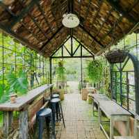 คาเฟ่ที่สวยที่สุดในหนองจอก