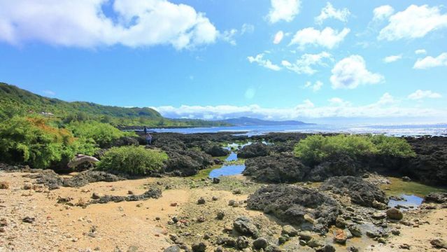 chao jian dai sheng tai qu
