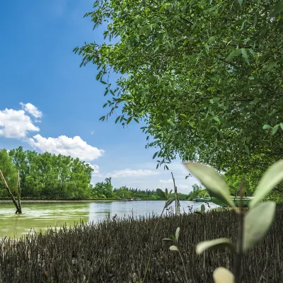 Отели рядом с достопримечательностью «Площадь Тартини»