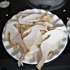 Snow mountain clouds wild mushrooms 여행 사진