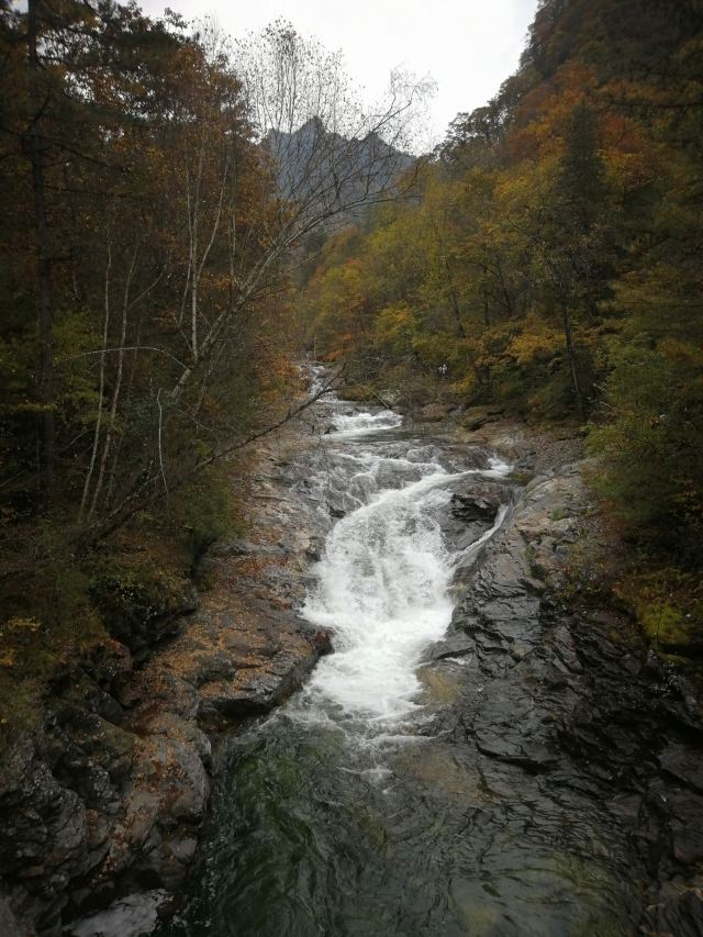 黃柏原