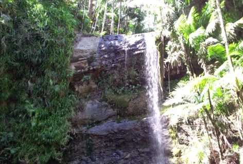 San Carlos Falls and Swimming Hole
