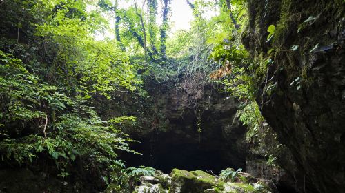 青秀山