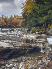 Bosque Nacional White Mountain