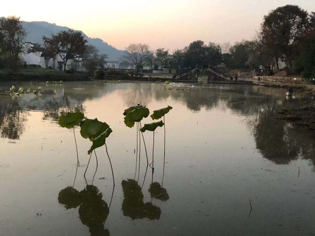 청칸촌