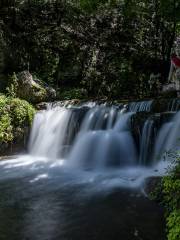 Водопадная ржавчина