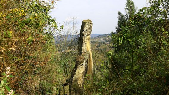 Madu Guanshilin Sceneic Area