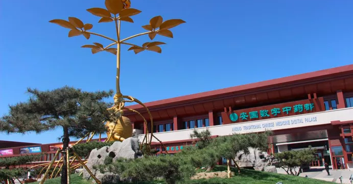 Anguo Digital Traditional Chinese Medicine City