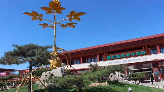 Anguo Digital Traditional Chinese Medicine City