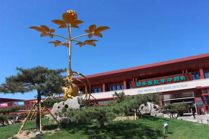 Hotels near Anguo Digital Traditional Chinese Medicine City