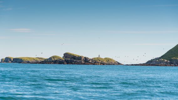 Mana IslandTours