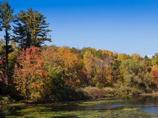 서울 출발 Albany 도착 비행시간